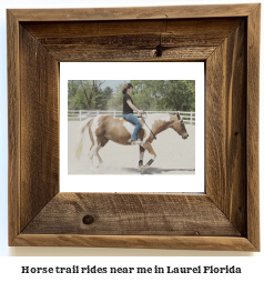 horse trail rides near me in Laurel, Florida